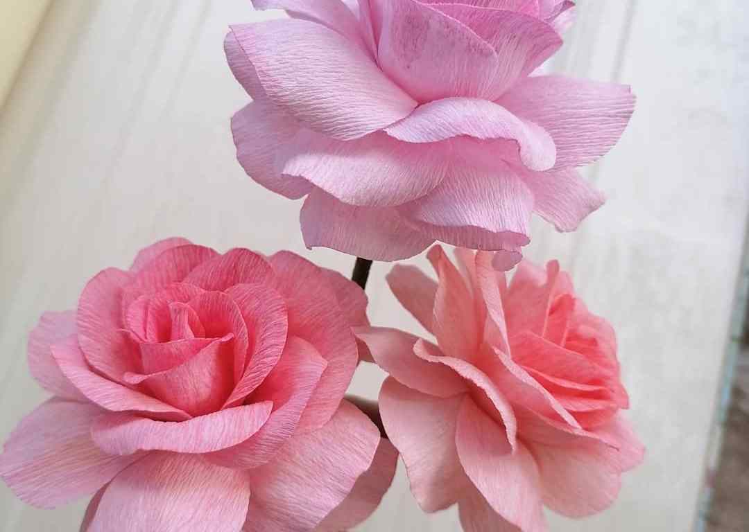 3 Types of Crepe Papers I Use to Make Different Types of Paper Flowers –  Iris Flower Artstyle